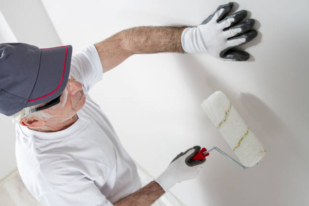 Best Attic Mold Removal  in New Bremen, OH