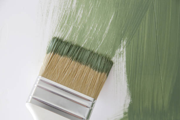 Best Black Mold Removal  in New Bremen, OH