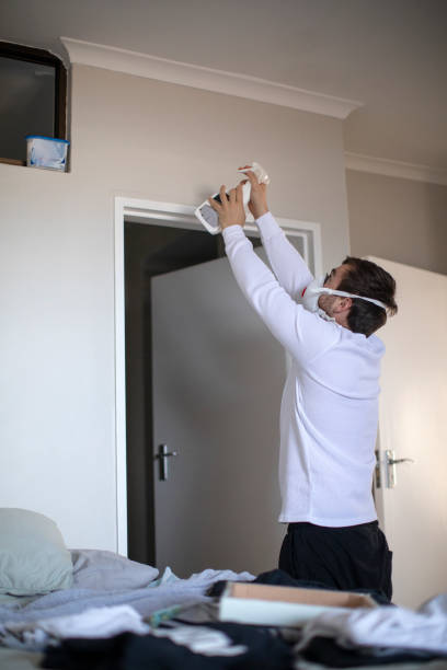Best Commercial Mold Inspection  in New Bremen, OH