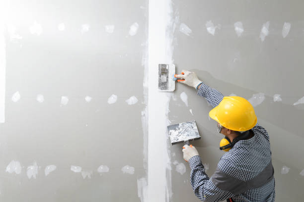 Best Residential Mold Inspection & Testing  in New Bremen, OH