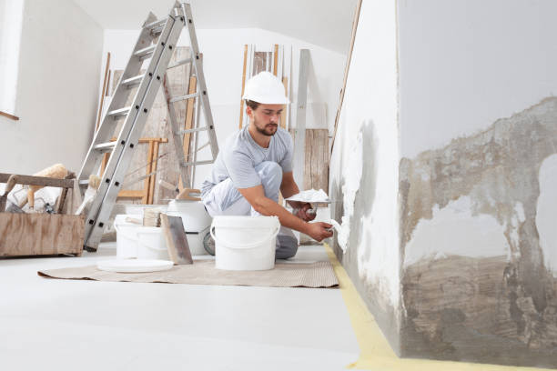 Best Asbestos and Lead Testing During Mold Inspection  in New Bremen, OH