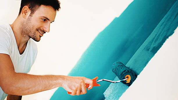 New Bremen, OH Mold Removal Company
